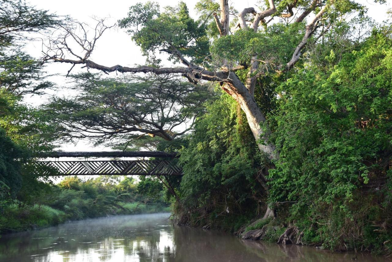 Fig Tree Camp - Maasai Mara Ξενοδοχείο Talek Εξωτερικό φωτογραφία