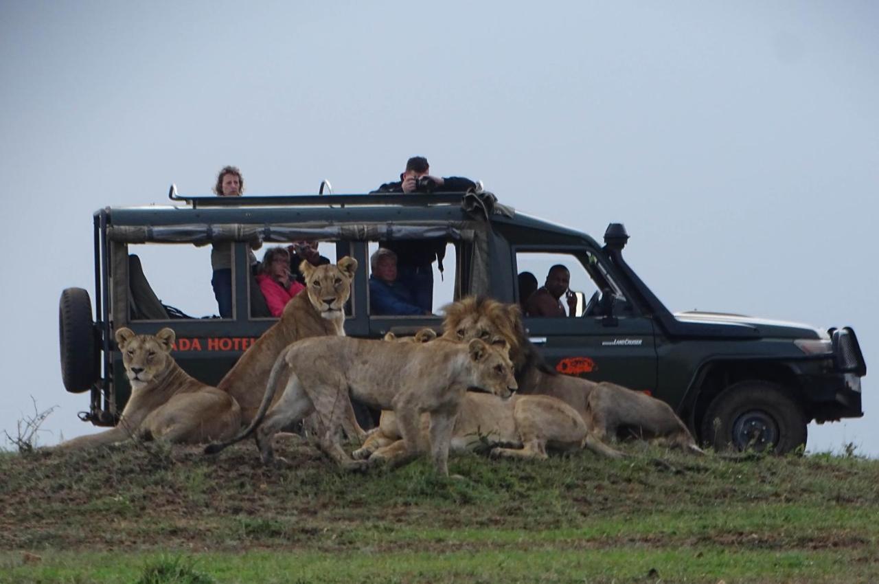 Fig Tree Camp - Maasai Mara Ξενοδοχείο Talek Εξωτερικό φωτογραφία