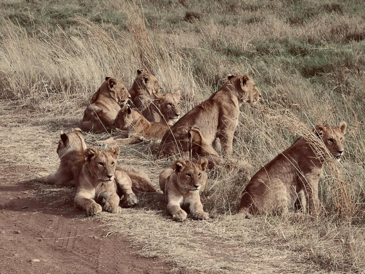 Fig Tree Camp - Maasai Mara Ξενοδοχείο Talek Εξωτερικό φωτογραφία