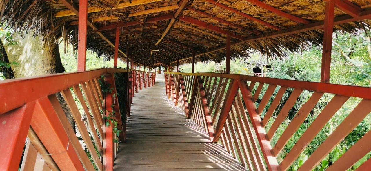 Fig Tree Camp - Maasai Mara Ξενοδοχείο Talek Εξωτερικό φωτογραφία