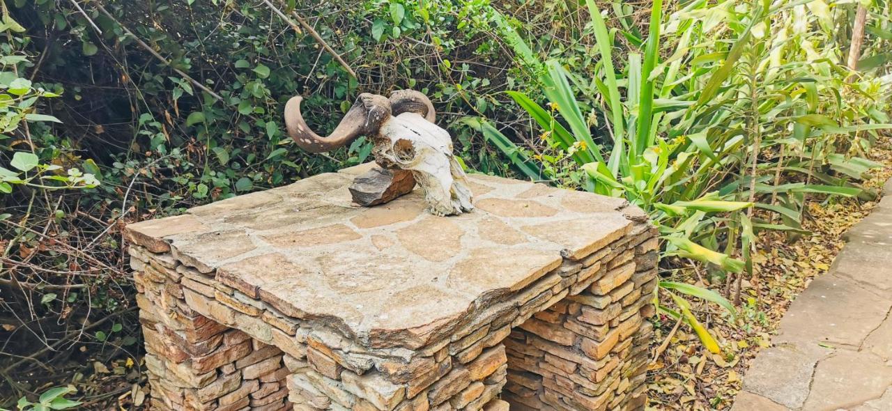 Fig Tree Camp - Maasai Mara Ξενοδοχείο Talek Εξωτερικό φωτογραφία